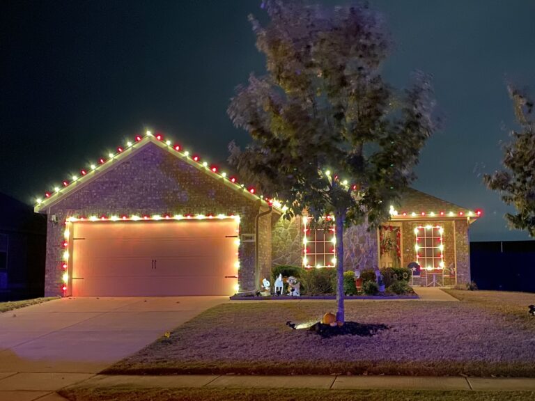 Warm White/Red Christmas Lights